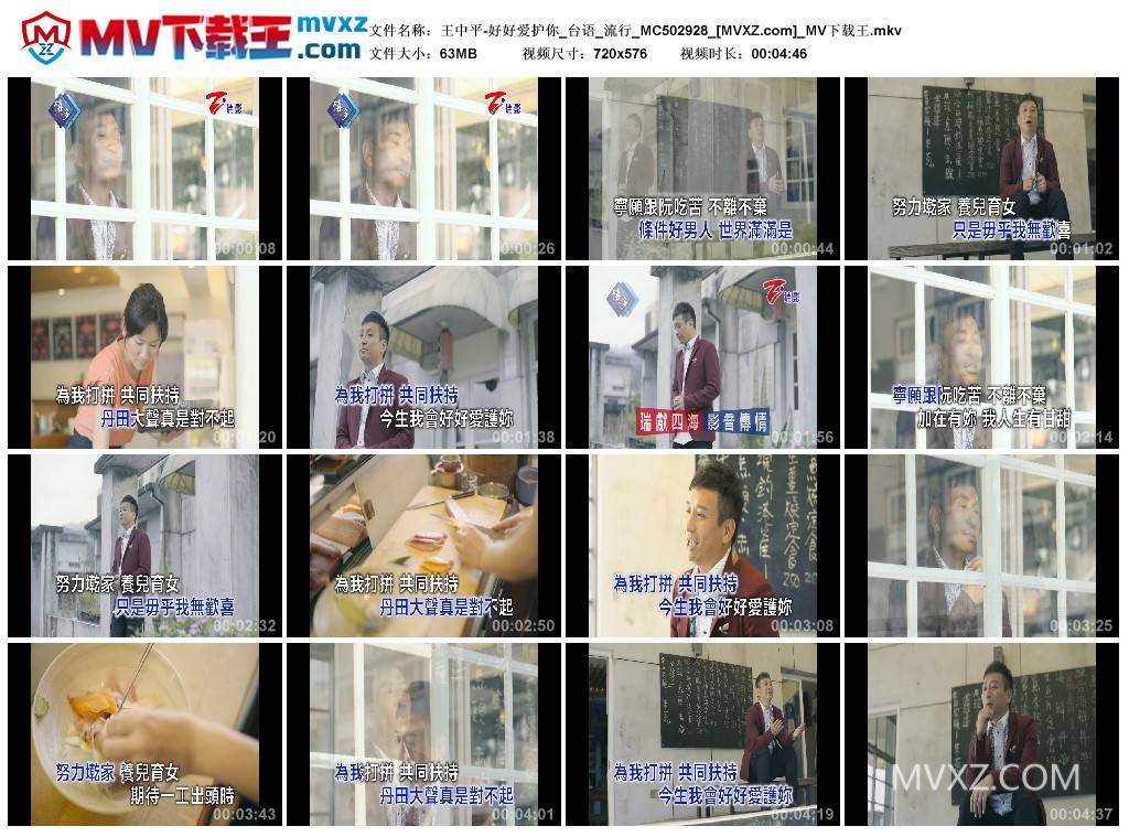 王中平-好好爱护你_台语_流行_MC502928